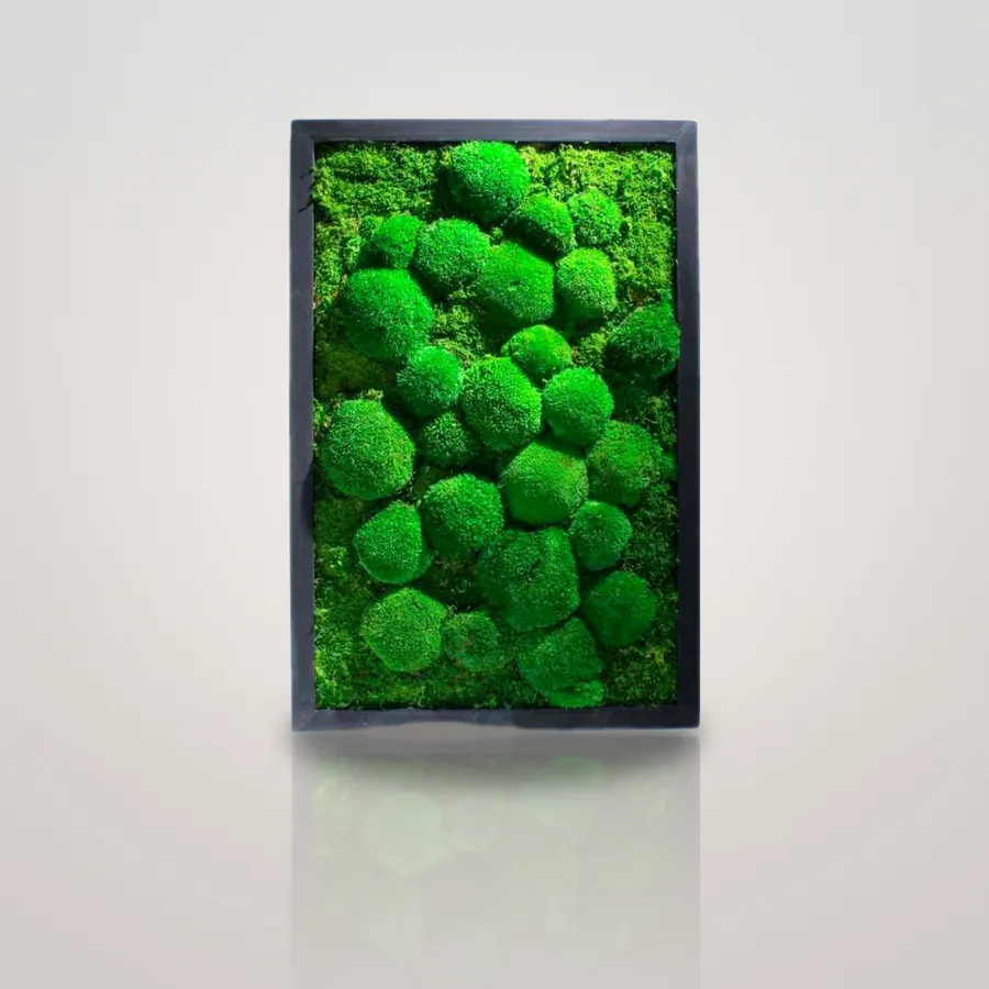 Preserved moss wall art in a black frame